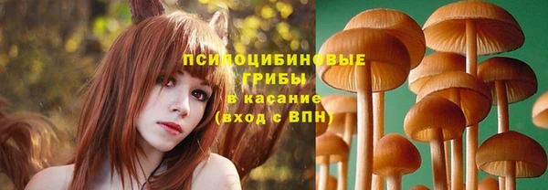 марихуана Заводоуковск
