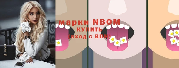 соль ск Зеленодольск