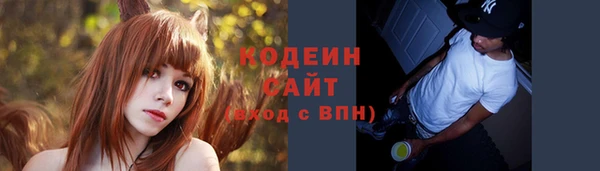 индика Дмитров