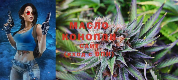 индика Дмитров