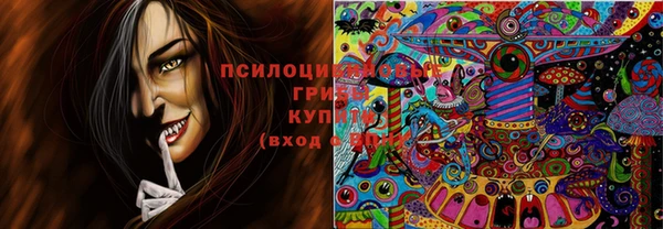 марихуана Заводоуковск