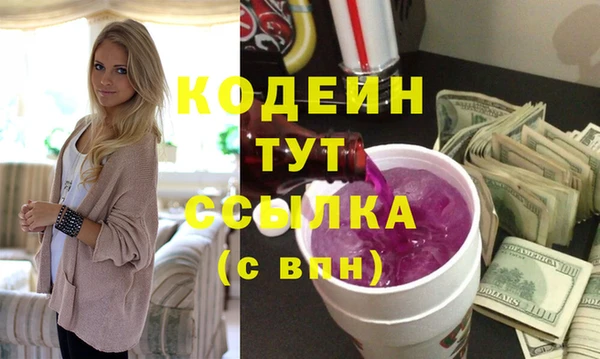 индика Дмитров