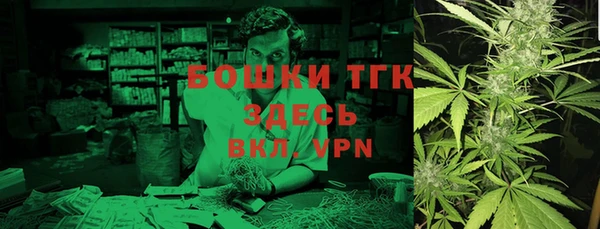 индика Дмитров