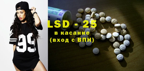индика Дмитров