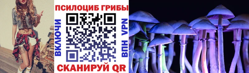 где можно купить наркотик  Кологрив  Галлюциногенные грибы GOLDEN TEACHER 